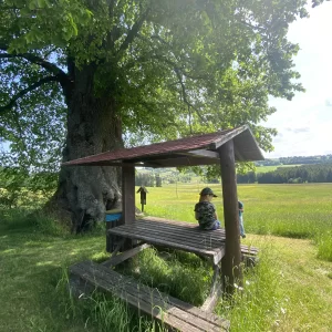 Chobotská lípa / 6 - Vysočina s dětmi