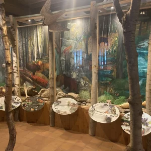 Dům přírody Žďárské vrchy / 8 - Vysočina s dětmi