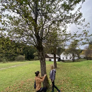 Údolím Sázavy za mamutem - Vysočina s dětmi