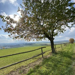 Za jeleny a ke skalám Novoměstska - Vysočina s dětmi
