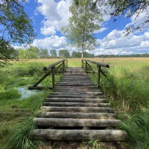 Za Dařbuchou na Velké Dářko - Vysočina s dětmi
