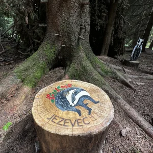 Pohádková stezka skřítka Ostružinky - Vysočina s dětmi