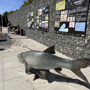 Za humny je Vodní dům a zámek Zruč - Vysočina s dětmi
