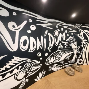 Za humny je Vodní dům a zámek Zruč - Vysočina s dětmi