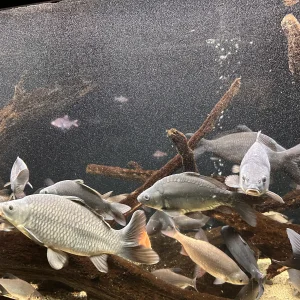 Za humny je Vodní dům a zámek Zruč - Vysočina s dětmi