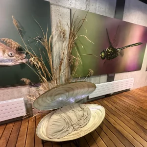 Za humny je Vodní dům a zámek Zruč - Vysočina s dětmi