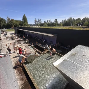 Za humny je Vodní dům a zámek Zruč - Vysočina s dětmi