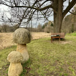 Šlapankou v Polné - Vysočina s dětmi